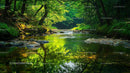 Tranquil Forest Stream with Lush Greenery and Reflections