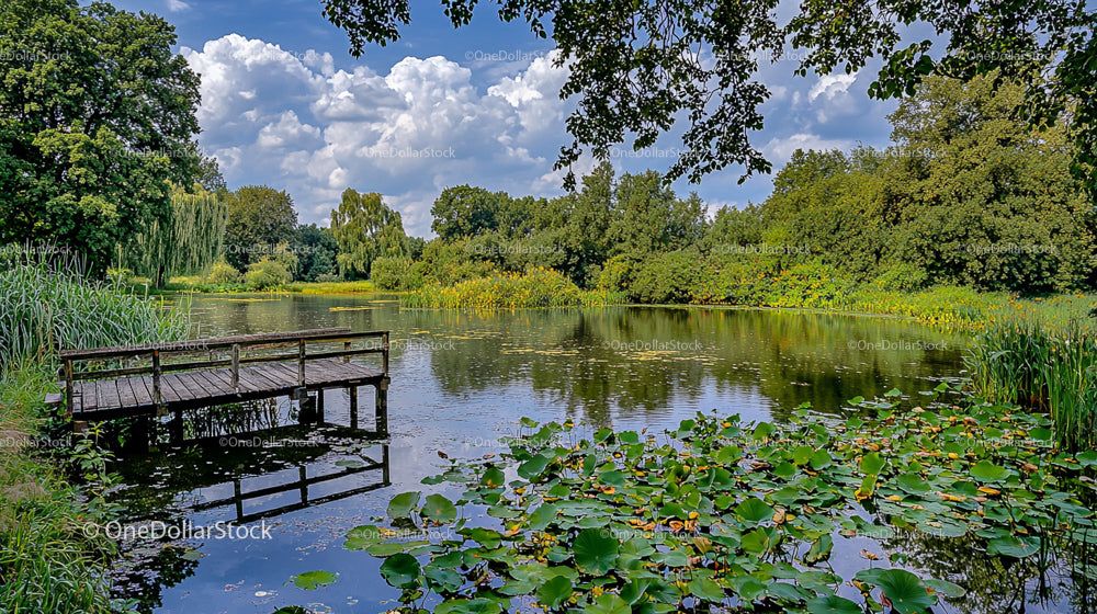 Scenic Lake with Lush Greenery and Wooden Pier
