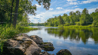 Tranquil Forest Lake with Reflective Waters Under Blue Skies