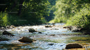 Tranquil Forest Stream with Sunlit Reflections
