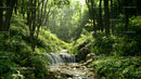 Tranquil Forest Setting with Sunlit Stream