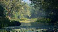 Tranquil Forest River with Lush Green Foliage