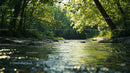 Tranquil Forest Stream Under Lush Green Canopy