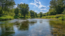 Scenic Summer River with Lush Greenery and Blue Sky