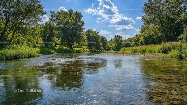 Scenic Summer River with Lush Greenery and Blue Sky