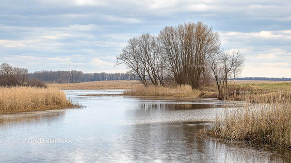 Tranquil River Landscape with Bare Trees and Cloudy Sky