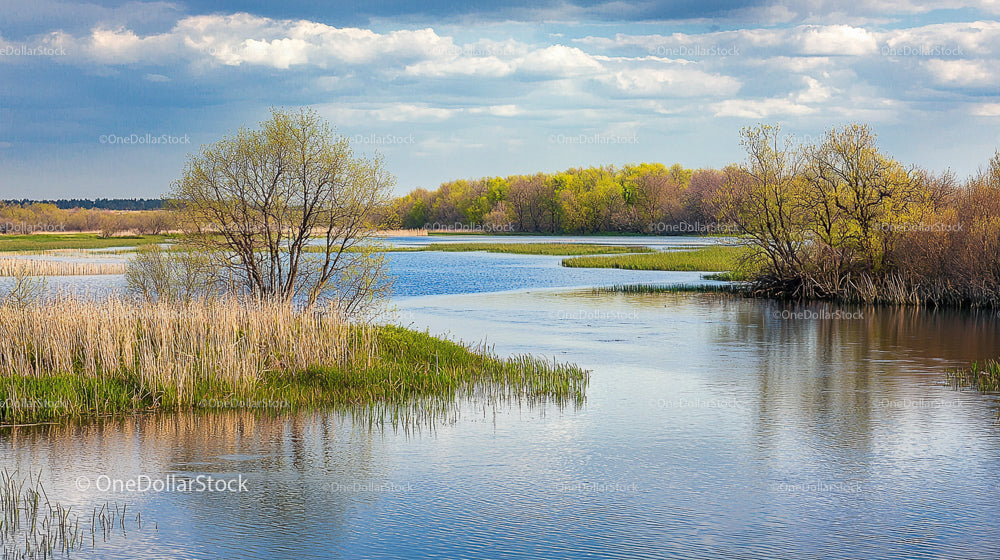 Tranquil River Landscape with Springtime Foliage