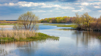 Tranquil River Landscape with Springtime Foliage