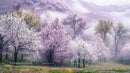 Misty Spring Landscape with Blooming Cherry Blossoms