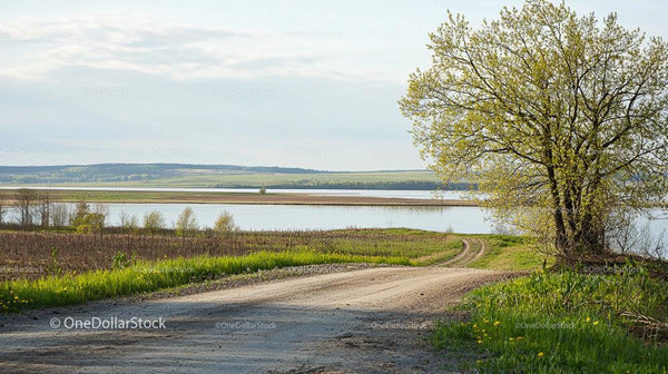 Serene Countryside Road by a Lake in Spring