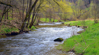 Tranquil River Flowing Through Lush Green Landscape