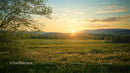 Tranquil Sunset Over Rolling Hills and Green Fields
