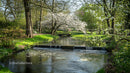 Tranquil Park Landscape with Blossoming Trees in Spring