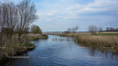 Tranquil River Scene with Bare Trees in Spring