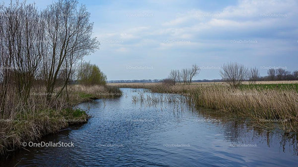 Tranquil River Scene with Bare Trees in Spring