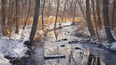Tranquil Winter Creek Surrounded by Snow-Covered Trees