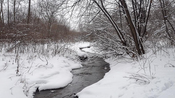 Tranquil Snow-Covered Stream in Winter Forest
