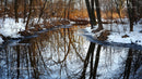 Serene Winter Landscape with Snow-Covered Stream and Trees