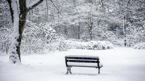 Snow-Covered Bench in a Serene Winter Parkland