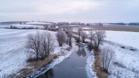 Serene Winter Landscape with Snow and Frosty Trees