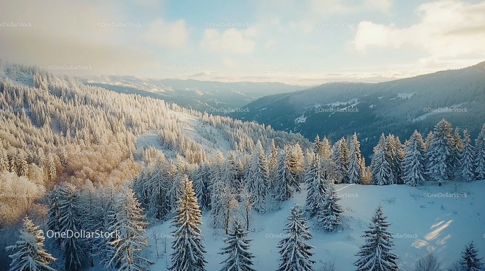 Snow-Covered Landscape with Frosty Pine Trees and Majestic Mountains