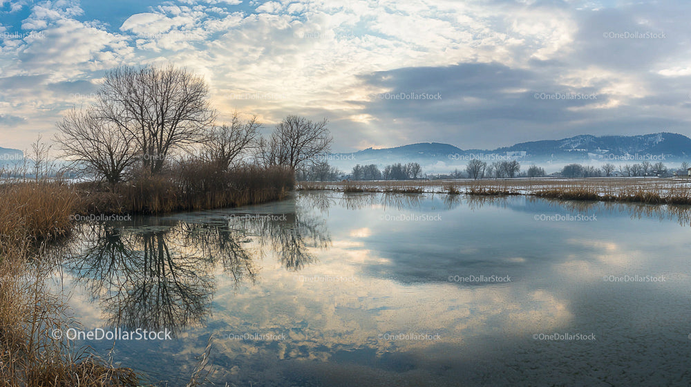 Tranquil Winter Lake with Reflecting Bare Trees and Clouds