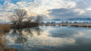 Tranquil Winter Lake with Reflecting Bare Trees and Clouds
