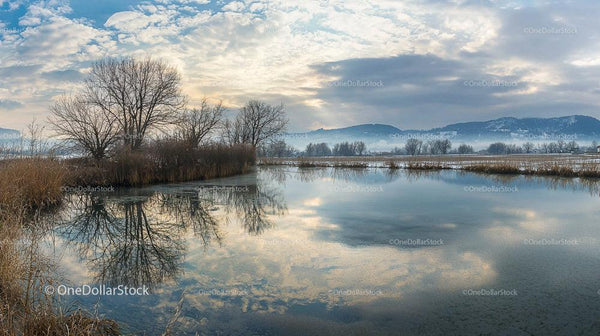 Tranquil Winter Lake with Reflecting Bare Trees and Clouds