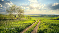 Scenic Country Road Through Lush Green Fields