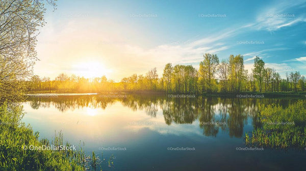 Serene Sunset Over Tranquil Lake with Vibrant Spring Foliage