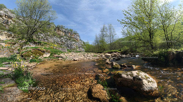 Serene Mountain Stream with Lush Greenery and Rock Formations