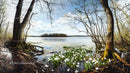 Tranquil Lake and Blooming Marshland in Springtime