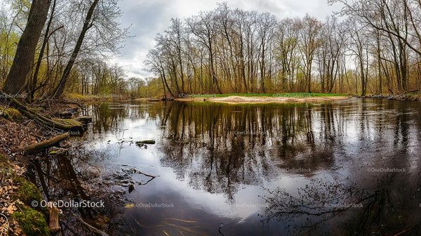 Tranquil River with Bare Trees Reflecting in Calm Water