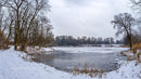 Serene Frozen Lake Surrounded by Snowy Trees