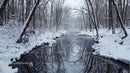 Frozen River and Snowy Forest in Winter Wonderland
