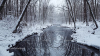 Frozen River and Snowy Forest in Winter Wonderland