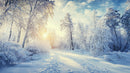 Sunlit Winter Path Through Frosty Forest