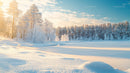 Sunlit Snow-Covered Pine Forest in Winter Tranquility