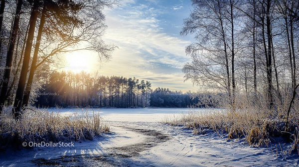 Winter Sunrise Over a Frozen Lake with Frosty Trees