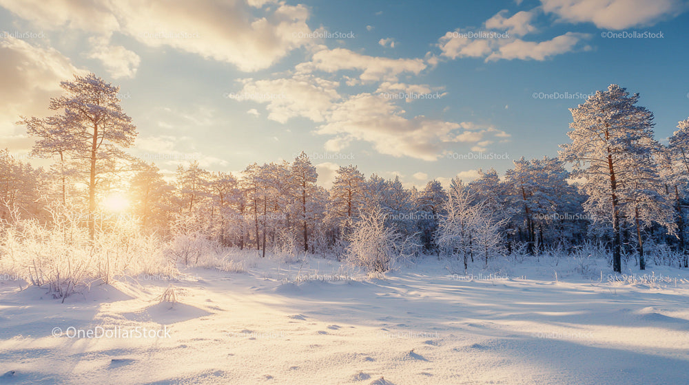 Scenic Winter Sunrise Over Snow-Covered Pine Forest