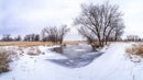Frozen River and Bare Trees in Winter Landscape