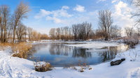 Idyllic Winter Scenery with Frozen Lake and Bare Trees