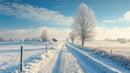 Snowy Rural Road with Frosty Trees on a Clear Winter Day