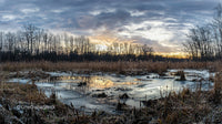 Serene Winter Wetland at Sunset with Icy Reflections