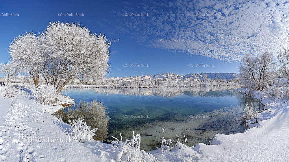 Frosty Winter Trees Reflecting in a Tranquil Icy River