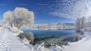 Frosty Winter Trees Reflecting in a Tranquil Icy River