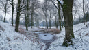 Snow-Covered Forest Path in Serene Winter Landscape