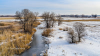 Snowy Winter Landscape with Frozen Stream and Bare Trees