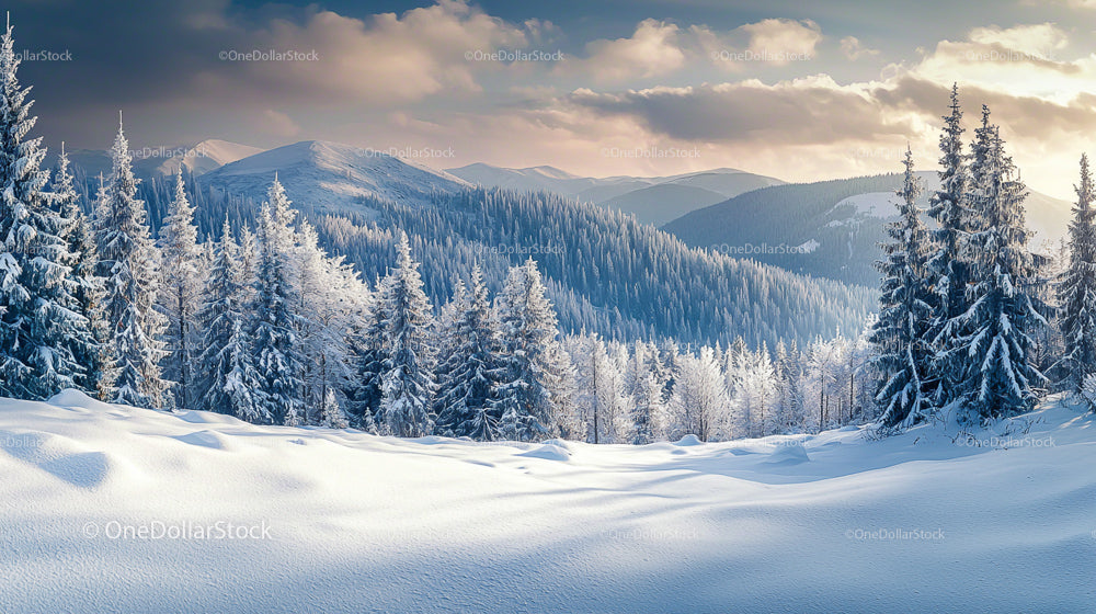 Stunning Snow-Covered Mountain Landscape with Pine Trees