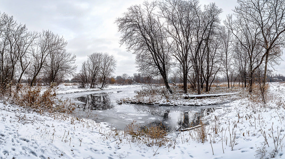 Frozen River and Snow-Covered Trees in Winter Landscape